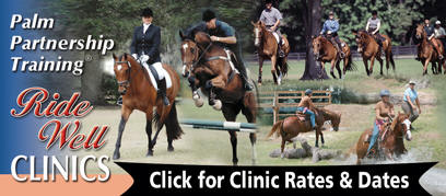 Training Clinics