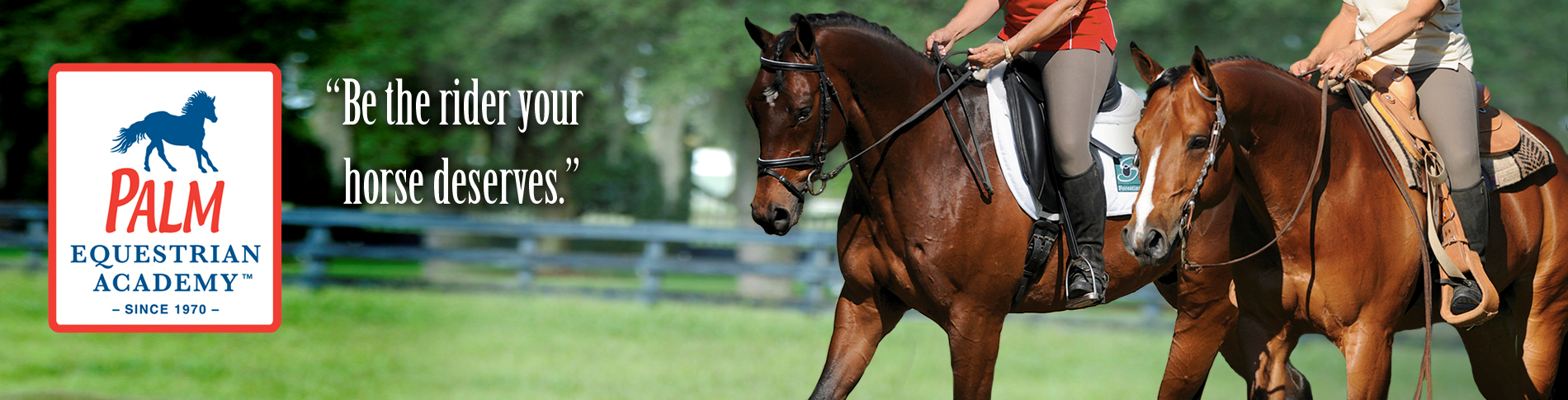 Dressage Illustrated - Third Level