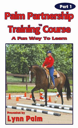 PPTTrainingCourse--store.JPG